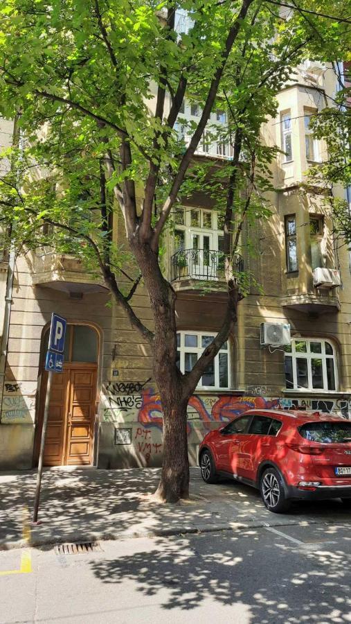 Duplex Studio Mansarda Apartment Beograd Bagian luar foto